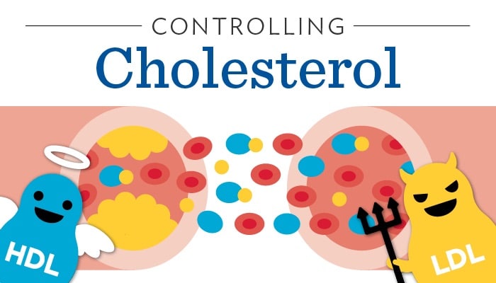 Reduce Bad Cholesterol LDL, Raise Good Cholesterol HDL | Chill Cryotherapy  - Westfield